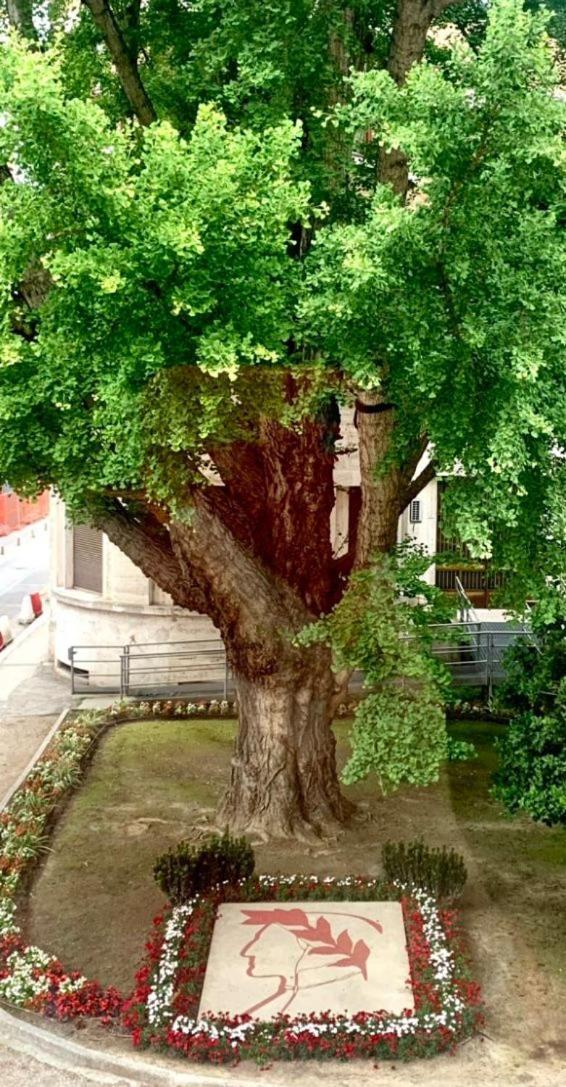 Ravenna Suite Eksteriør bilde